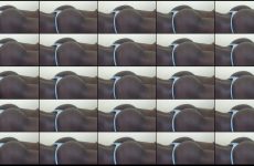 prettylolah stripchat Rough Siren Claps her Badonkadonk Hard. prettylolah