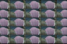 prettylolah stripchat Soft Goddess of Desire Clenches her Jiggling Cheeks Gently.