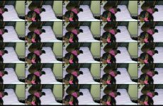 queen_evah stripchat Deep Mistress Rocks her Voluptuous Booty Sensually.