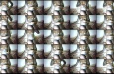 queen_joan chaturbate Ebony skinned Entertainer Orgasms with Rotating Toy.