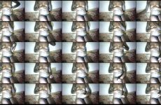 queen_joan chaturbate Sultry Sable skinned Mistress Quivers her Sensual Cheeks for Cash.