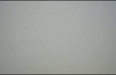 renalqueen stripchat Curvaceous Midnight Hottie Gets Wet her Jiggling Booty.mp4.