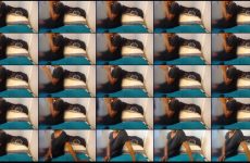 shy-lillyX22 Stripchat Aggressive Exotic Diva Drops her Badonkadonk Slowly..