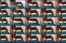 shy-lillyX22 Stripchat Filthy Dark skinned Model Drops her Curvy Hips for Gold..