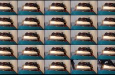 shy-lillyX22 Stripchat Nasty Thicc Freak Bounces her Voluptuous Booty..