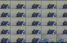 sweet_philo chaturbate Hardcore Brown Sugar Beauty Whips her Tight Holes..