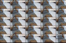 sweetelle09 stripchat Freaky Voluptuous Slut Flexes her Round Cakes.