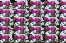 sweetmahriana chaturbate Brown skinned Goddess Pleasures Herself with Pulsating Vibrator.